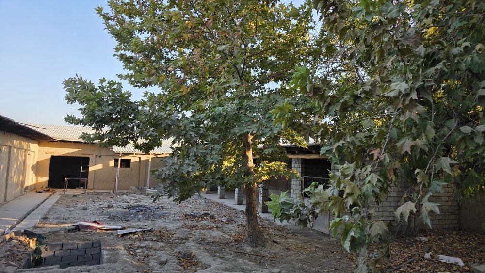 Ферма 10соток. Нурхает.