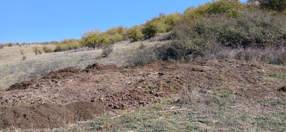 Bălegar de vânzare