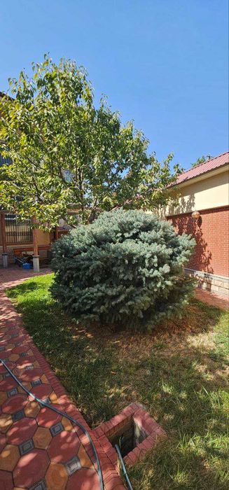 Yakkasaroy\Rakatboshi mahalla\or-tir MONO\5 сотокли ЕvroDom\Sotiladi\