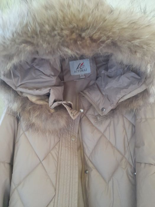 Кишки кутка сотилади г6