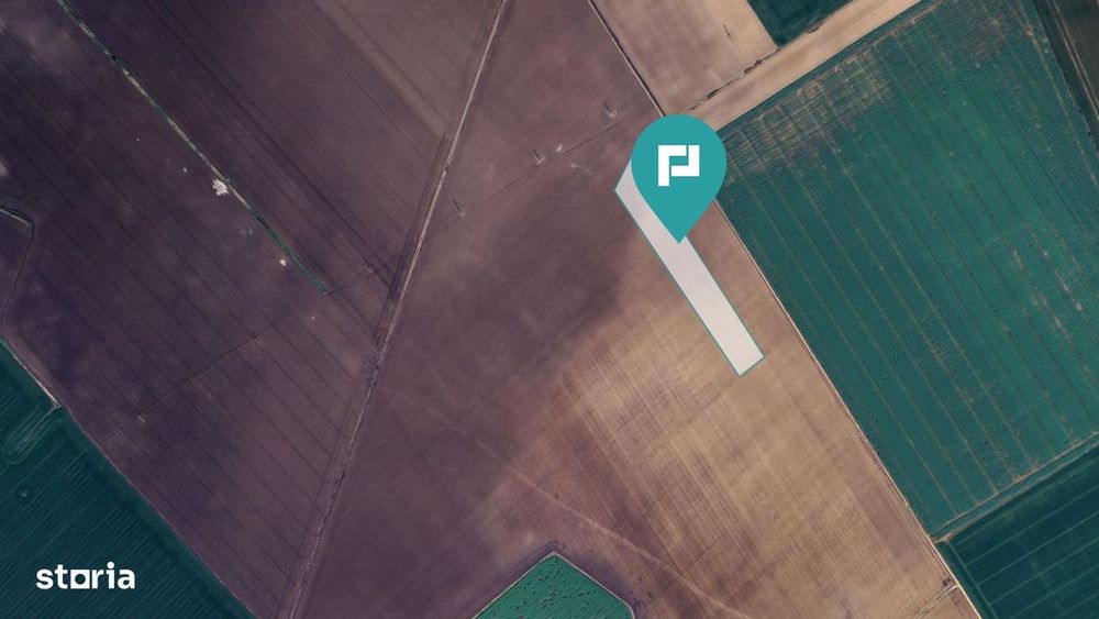 Teren 36.000 mp în Peciu Nou