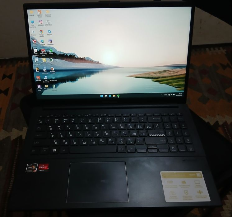 Asus vivobook go