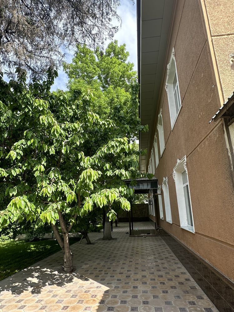 Бино сотилади, Жиззах шахри