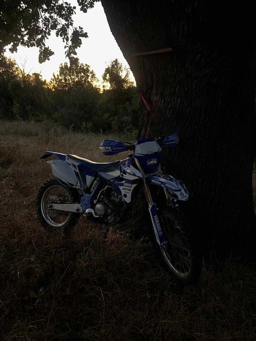 Yamaha wr 250 2005