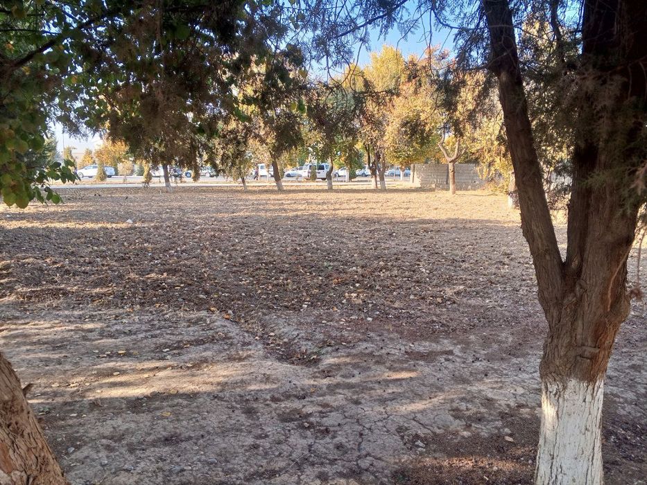 Умумий овкатланиш жойи