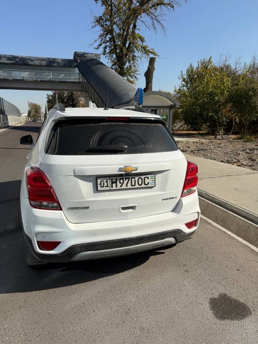 Tracer 1 primer 2019