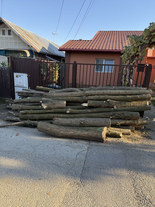 Vand lemne salcam de foc sau stalpi, bulumaci