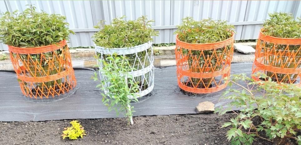 Кашпо для комнатных и садовых растений