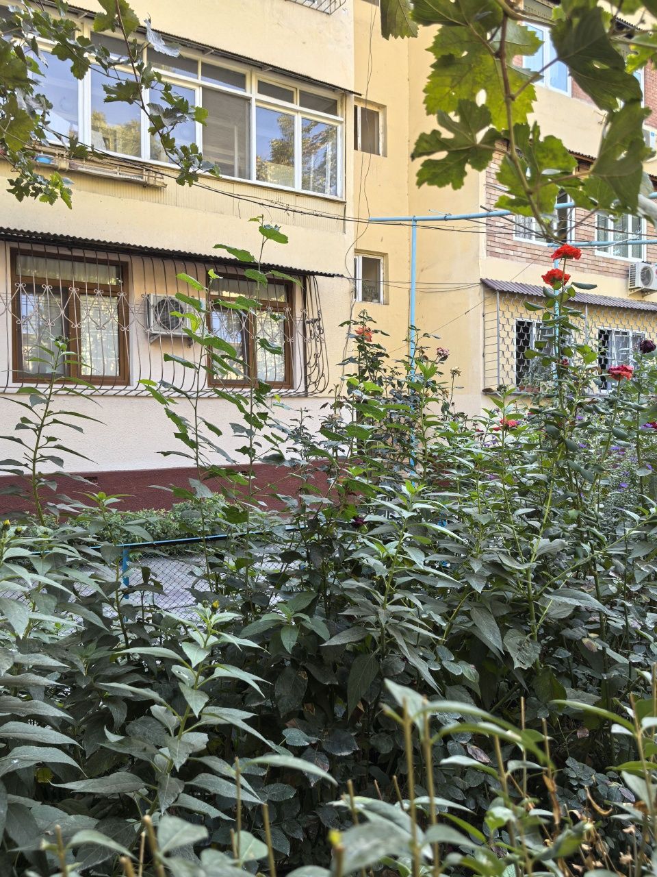 Ц-5. Метро Минор 4/1/4 Рестаран LALI(На небе)