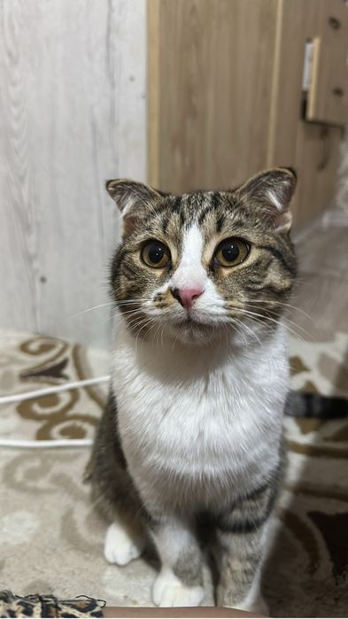 Продам в связи с переездом другой город