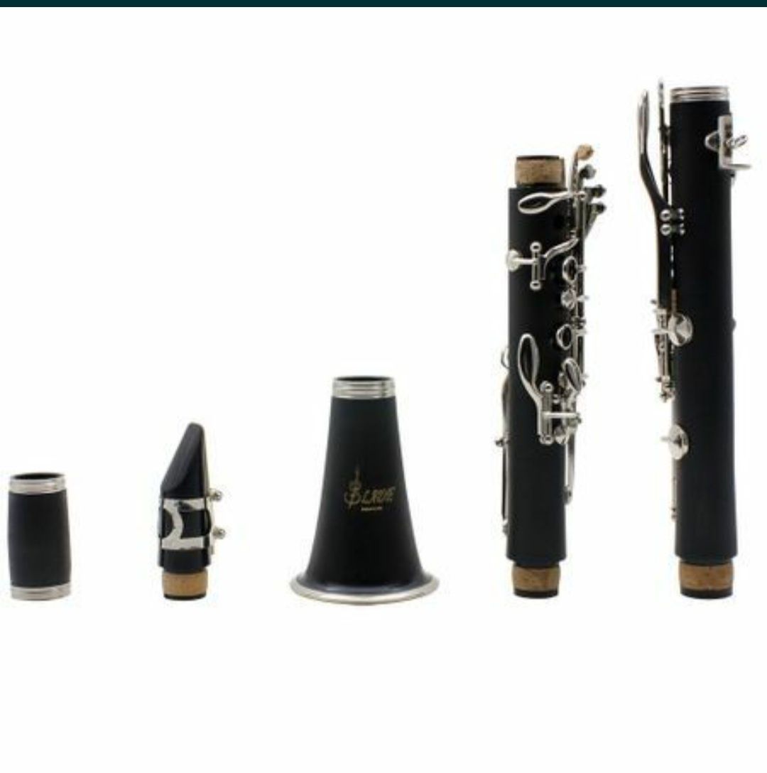 Clarinet Profesional Slade system 17 clape 6 inele nichelate cutie