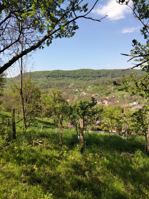Vând teren intravilan  Boteni Argeș   9000 mp.  4 euro mp