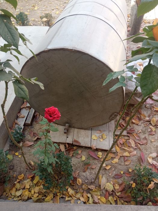 Нержавейка бочка сотлади 1.9 тоннали