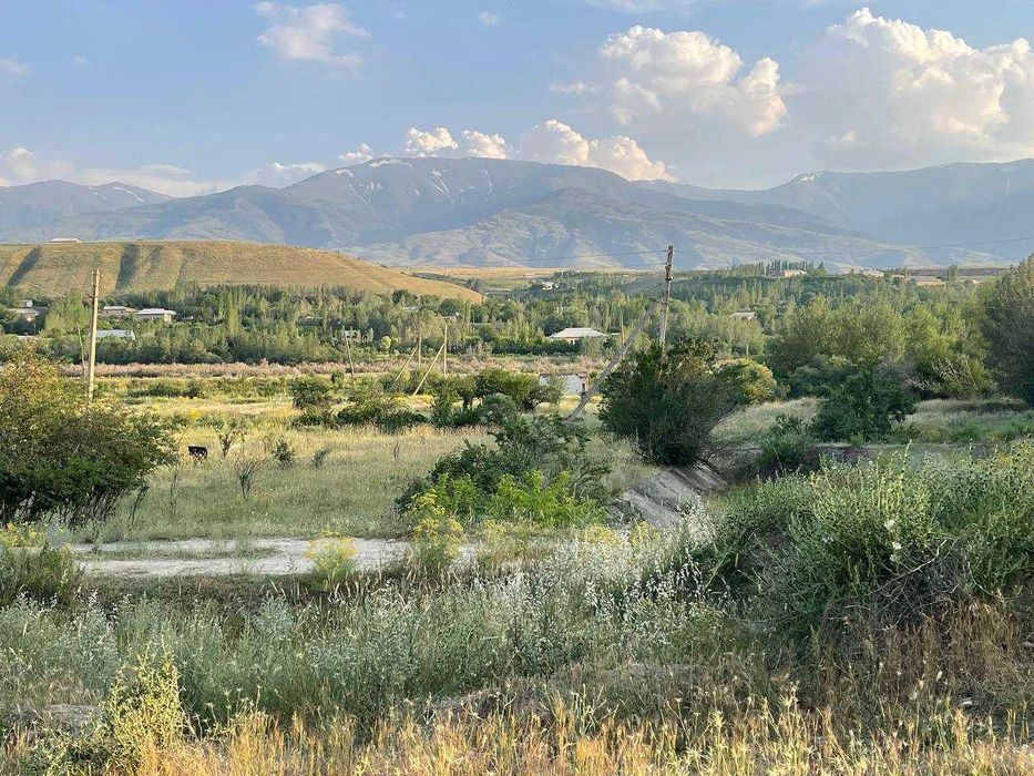 Хозяйство рыбное в Бахмальском районе Джиззакской области