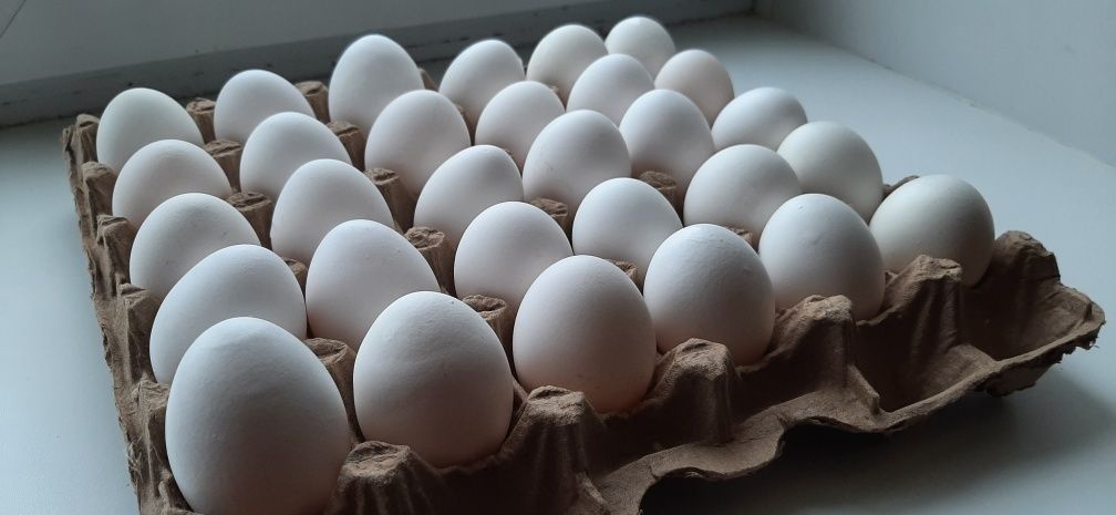Яйца домашние 30шт