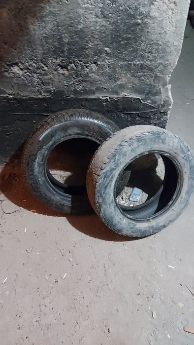 Шины для легковой машины