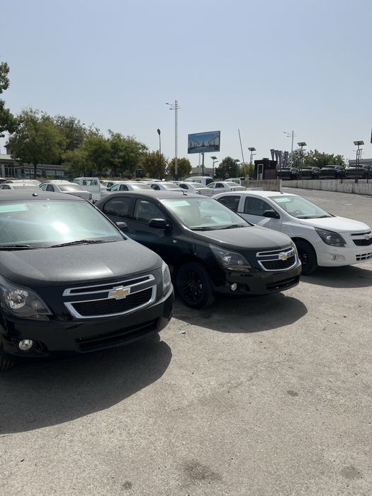 Cobalt midnight oq qora 2025