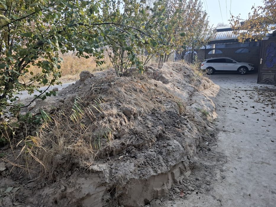 Тупроқ, тозза тупроқ