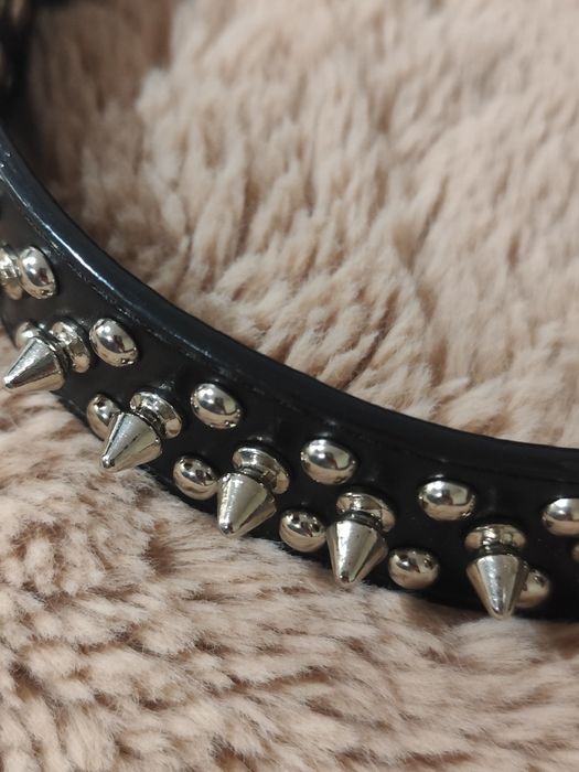 Zgarda cu tepi pentru caini