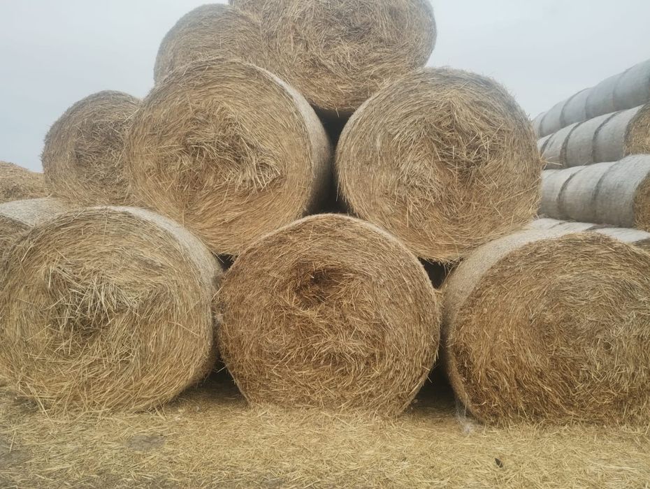 Vând/ schimb  cu diverse