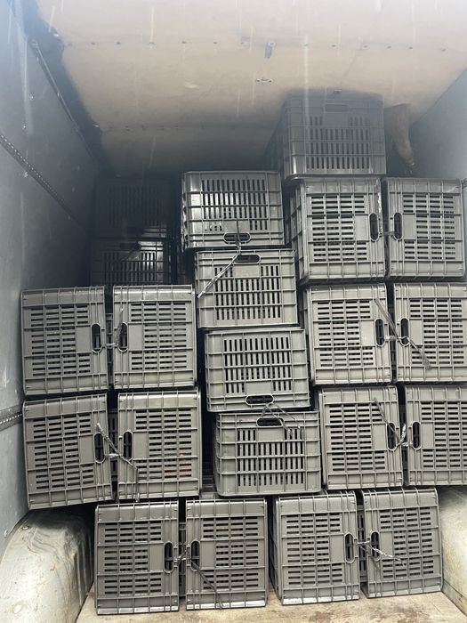 De vanzare lazi plastic (M30)