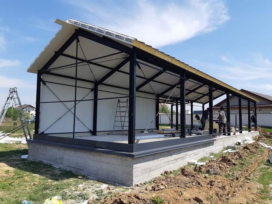 Vand hala metalică 8x20x4