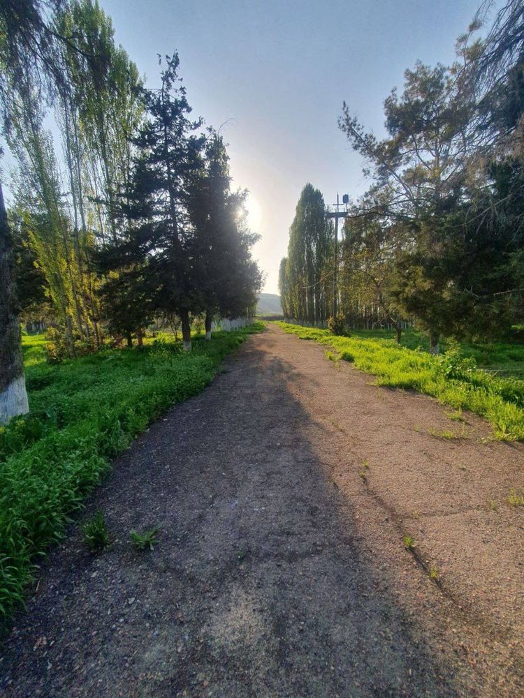 Сукокда 2 га курук йер сотилади