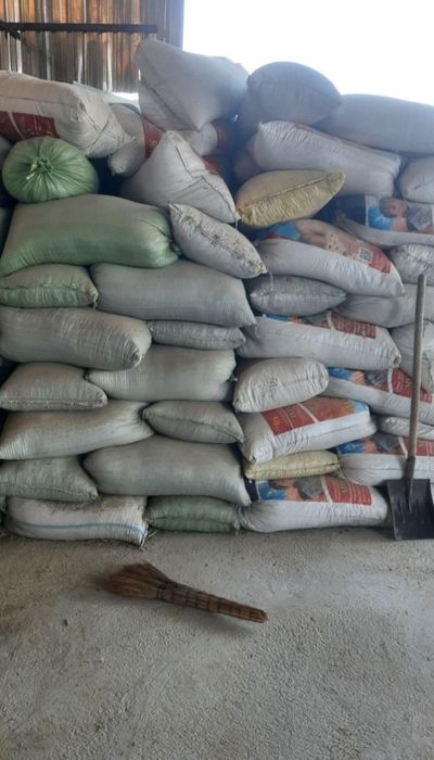 Куй нури топтоза.халталанган 20000 минг.ромитанда.арентир варнет