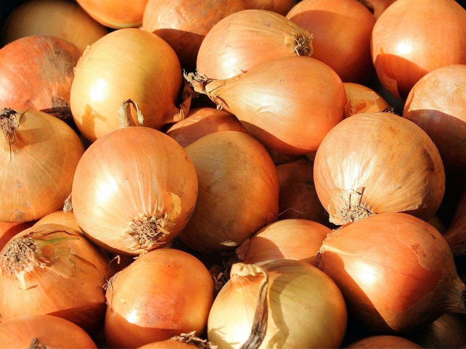 Лук,пияз Тараз қаласы Тастобе ауылы