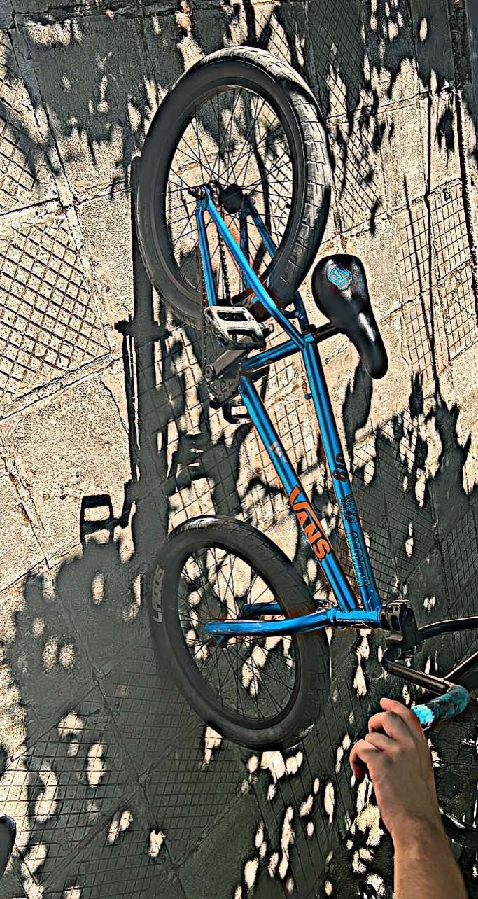 Bmx mafia bike 29