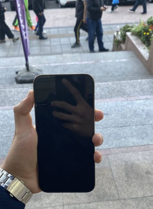 iphone 13 pro max Zpa