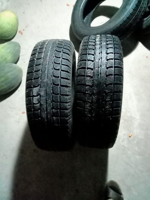 Triangle Шина зимние