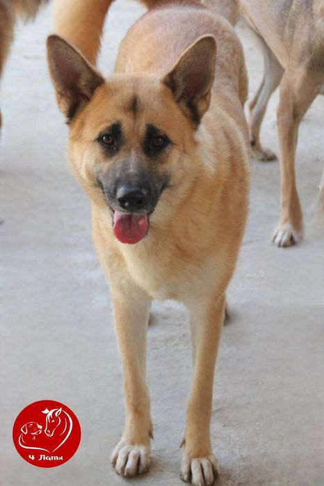 Подари Тео семью