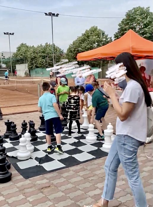 Ore de șah cu profesor maestru internațional