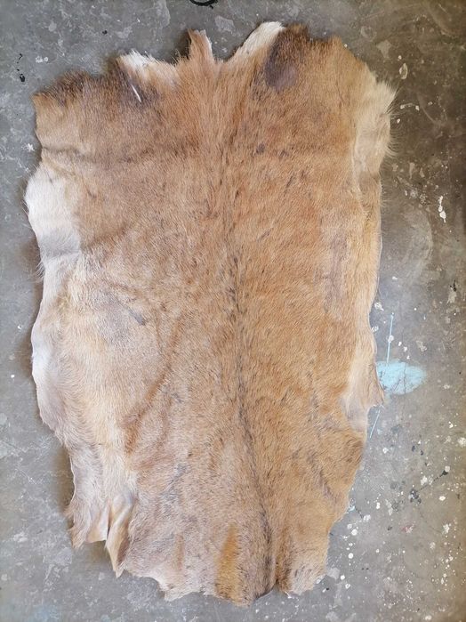 Vând blana de caprioara