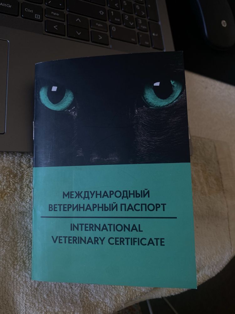 Мушук исм Муэзза