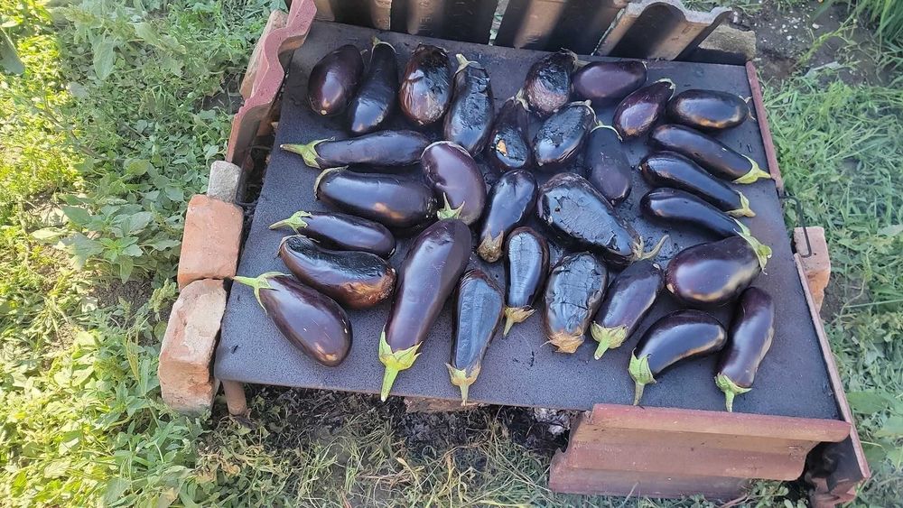 Vanata coapta la foc cu lemne