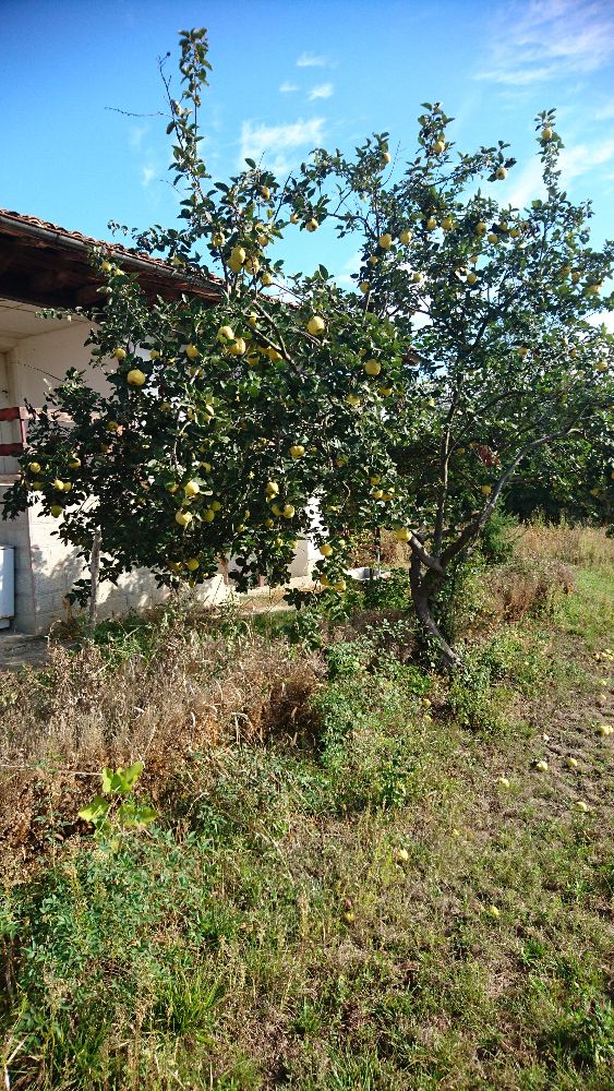 Продава се Къща в с. Ивански, Област Шумен - 120 кв.м за 591 €/кв.м - Снимка #22