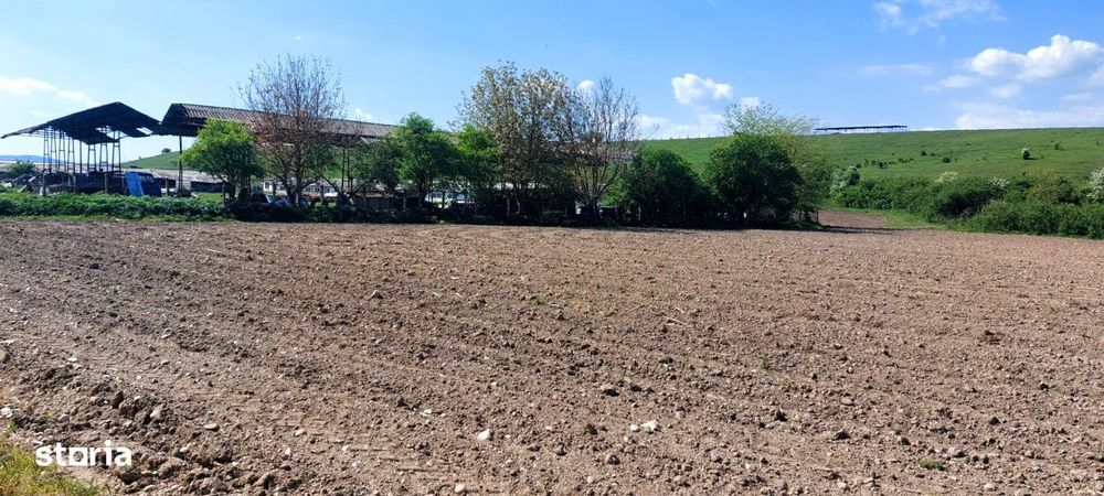 Teren  oportunitate investitie  19.000mp, zona Aeroport,