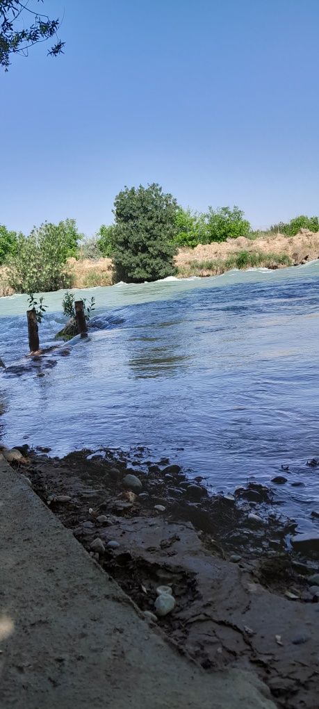Dam olishga tapchan ijaraga beriladi