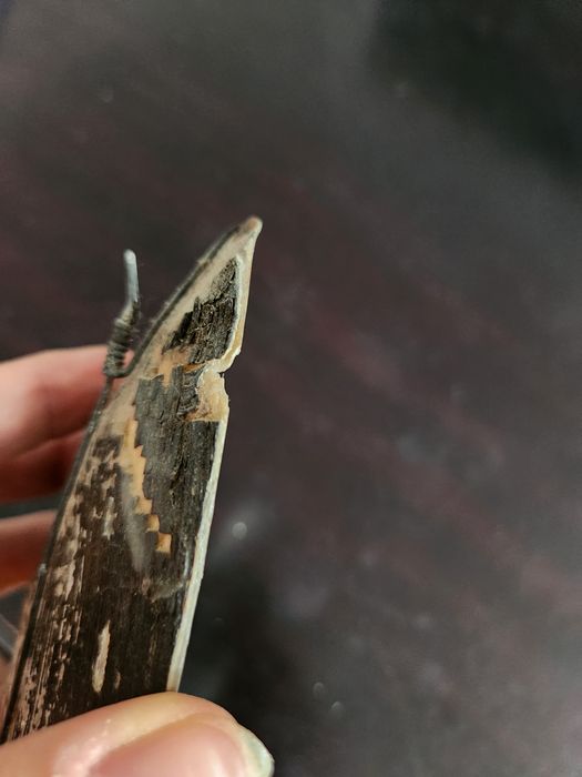 Винтидж разпятие в мида