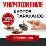 Работаем на результат! Дезинфекция муравьев крыс клопов тараканов