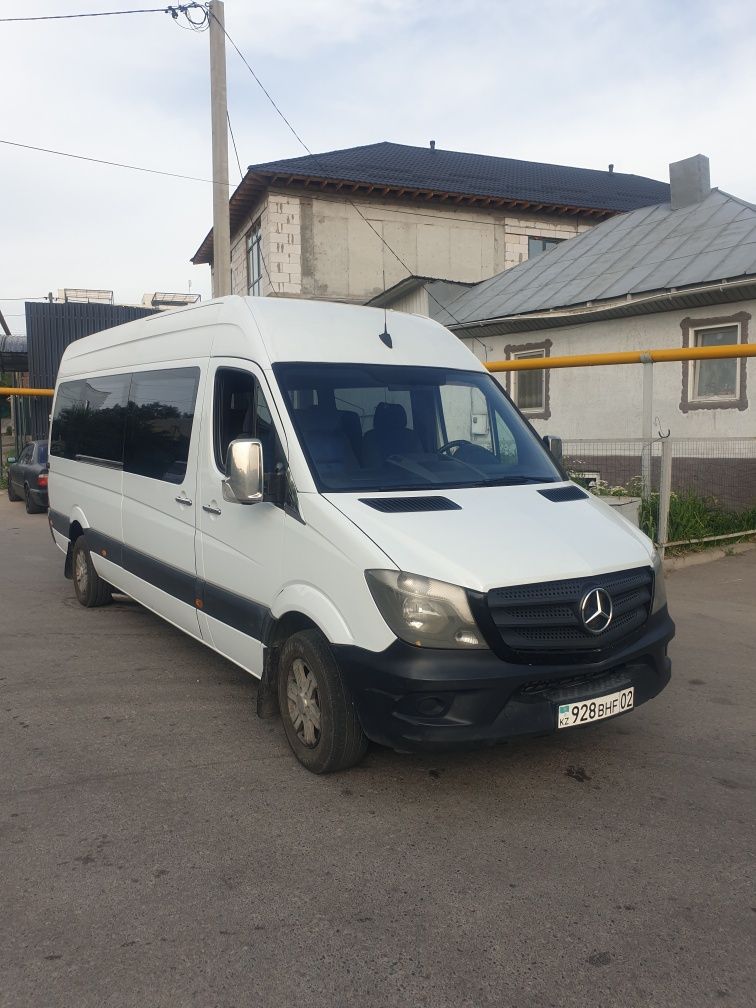Пассажирские перевозки