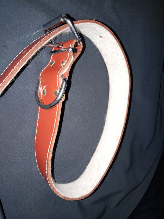 Zgarda pentru câini din piele