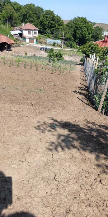 Продава се Парцел в с. Ситово, Област Силистра - 2300 кв.м за 4 €/кв.м - Снимка #8