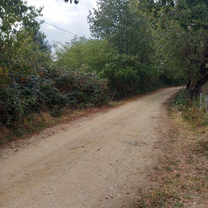 Vând teren Izvoru Rece Vaideeni Vâlcea