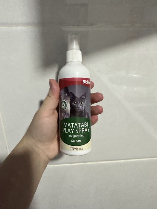 Миска,Щетка для вычесывания,когтирезка ,спрей для лотка.