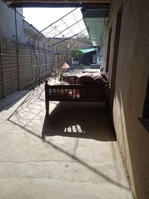 Ховли уй срочно сотилади