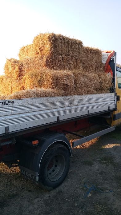 Paie grâu orzoaică baloți mici corbu cta transport ccost