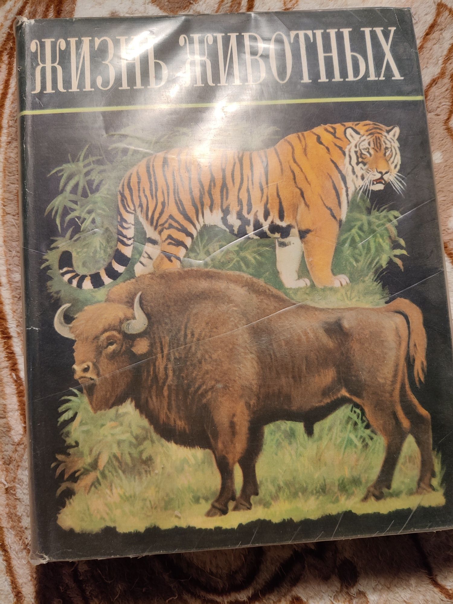 Энциклопедия Жизнь животных, млекопитающие или звери
